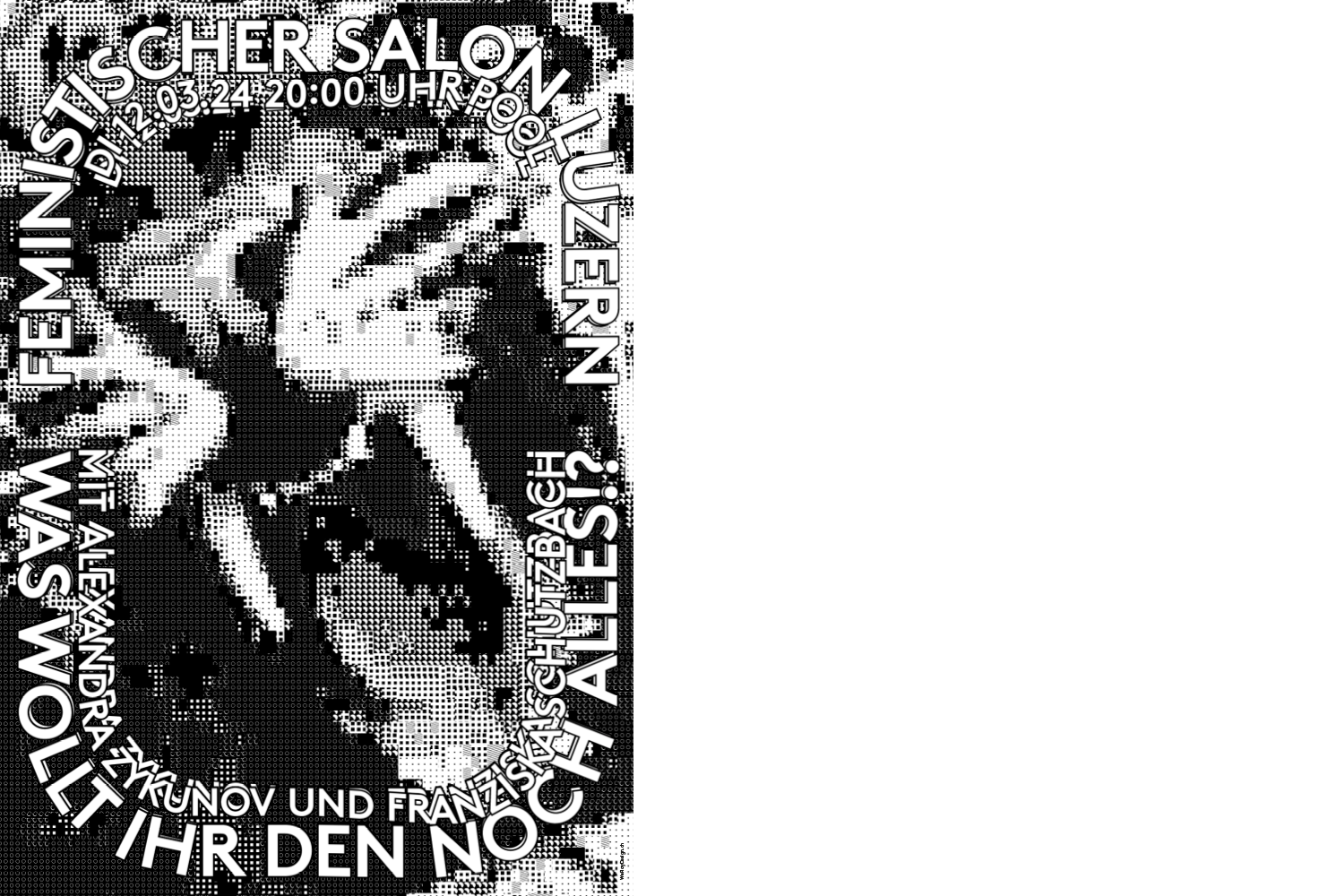 schwarz weisses plakat zur Veranstaltung Feministischer Salon, was wollt ihr den noch alles?!