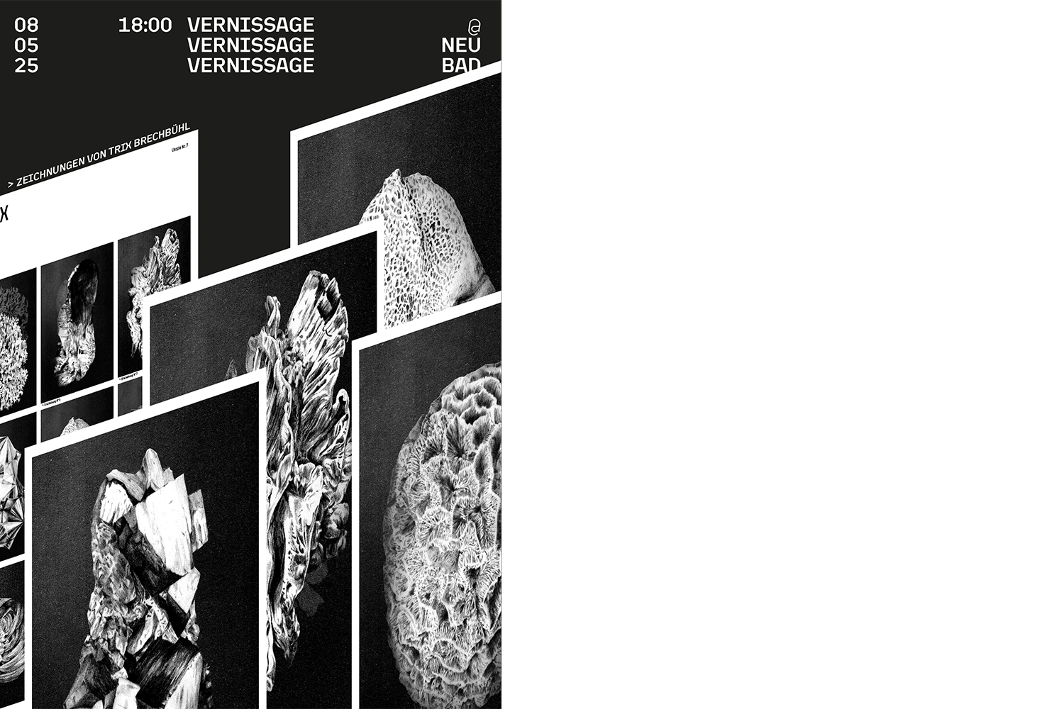 Schwarz weisses Bild, darauf sind Zeichnungen der Künstlerin zu sehen