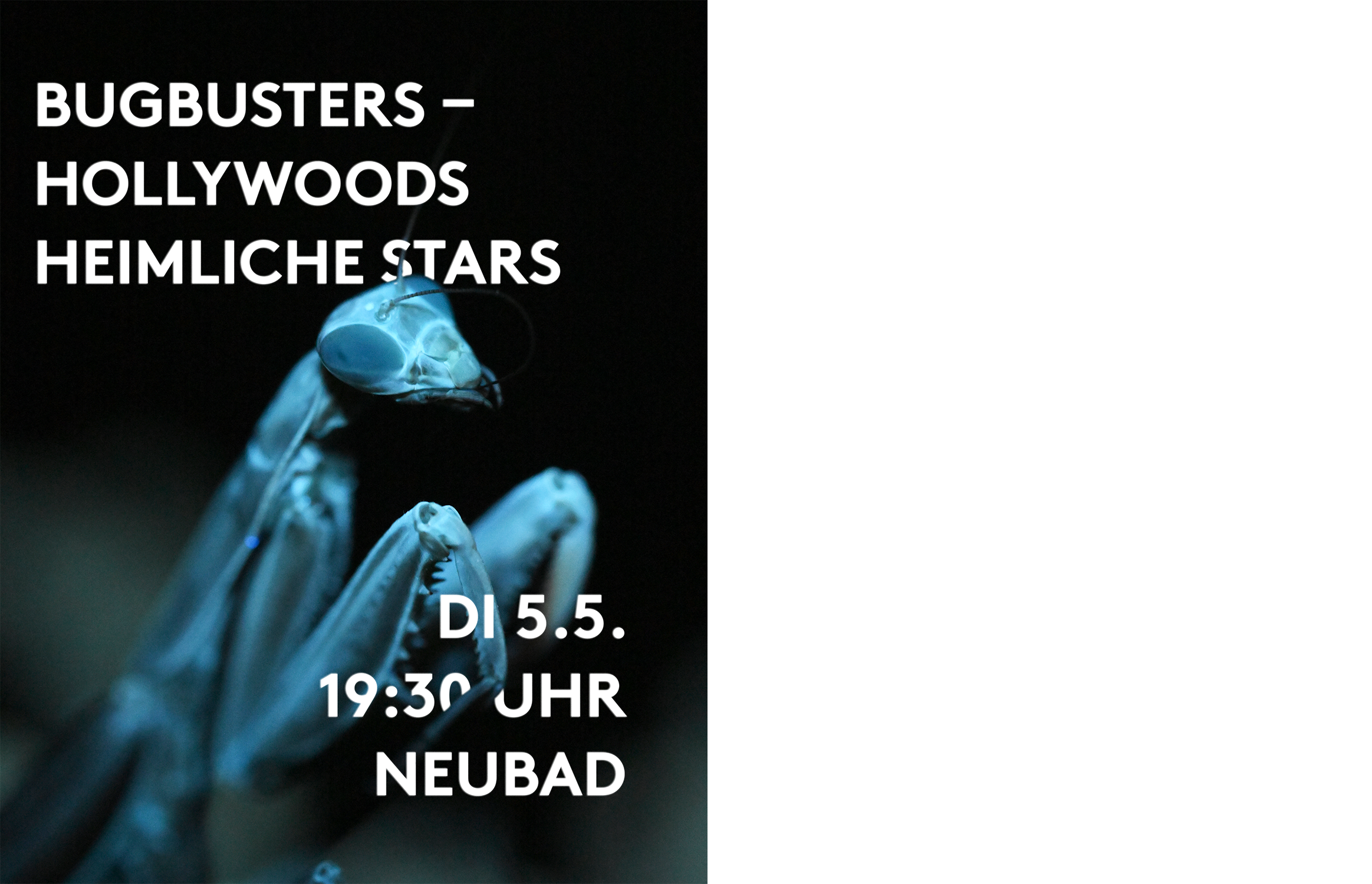 Blaue Gottesanbeterin im UV Licht. Der Titel der Veranstaltung ist ebenfalls im Bild eingebettet..